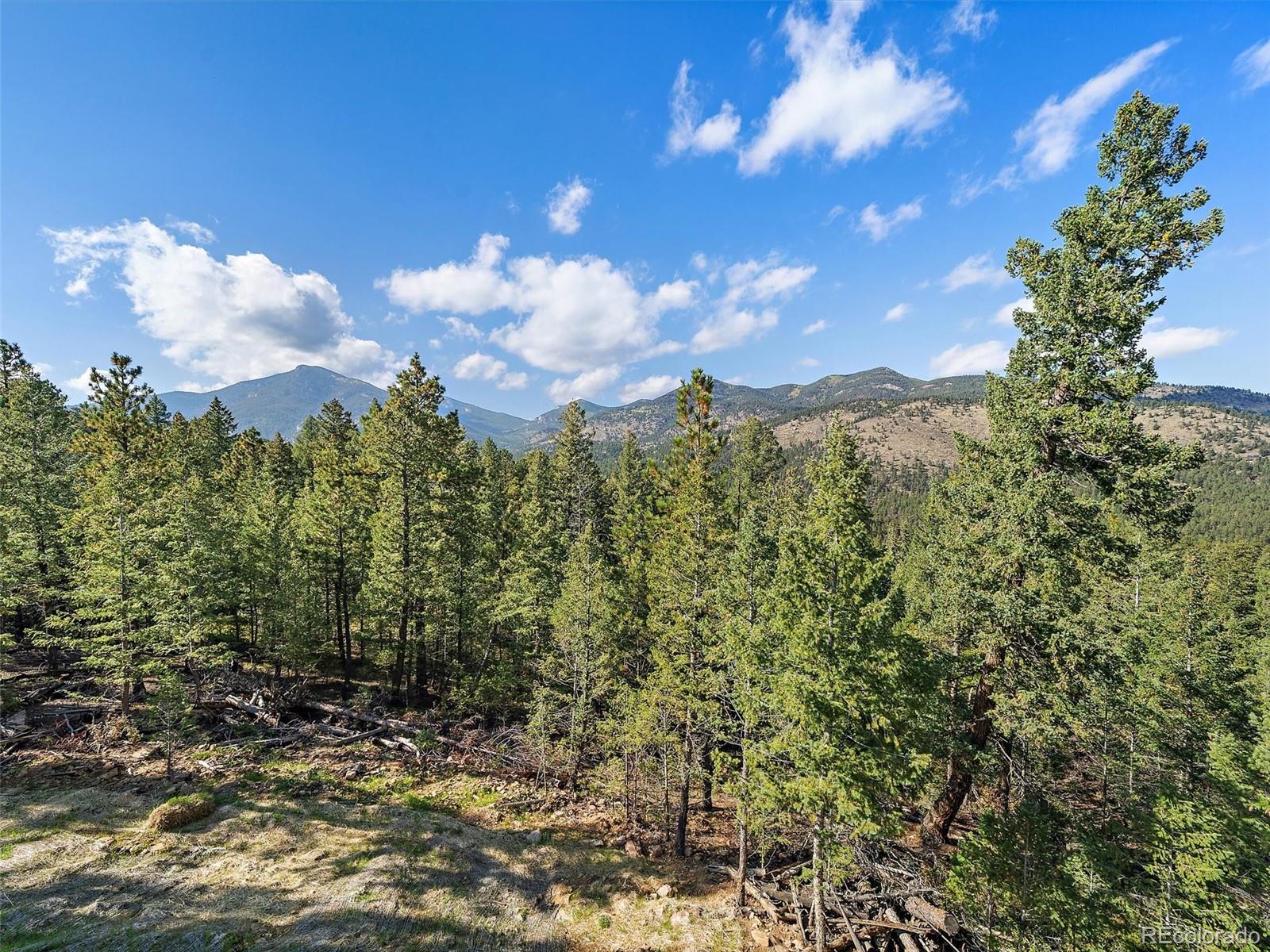 33884 Bergen View Trail Evergreen CO 80439