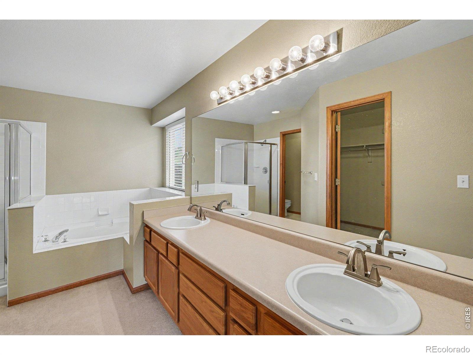 123 Rock Bridge Court Windsor CO 80550