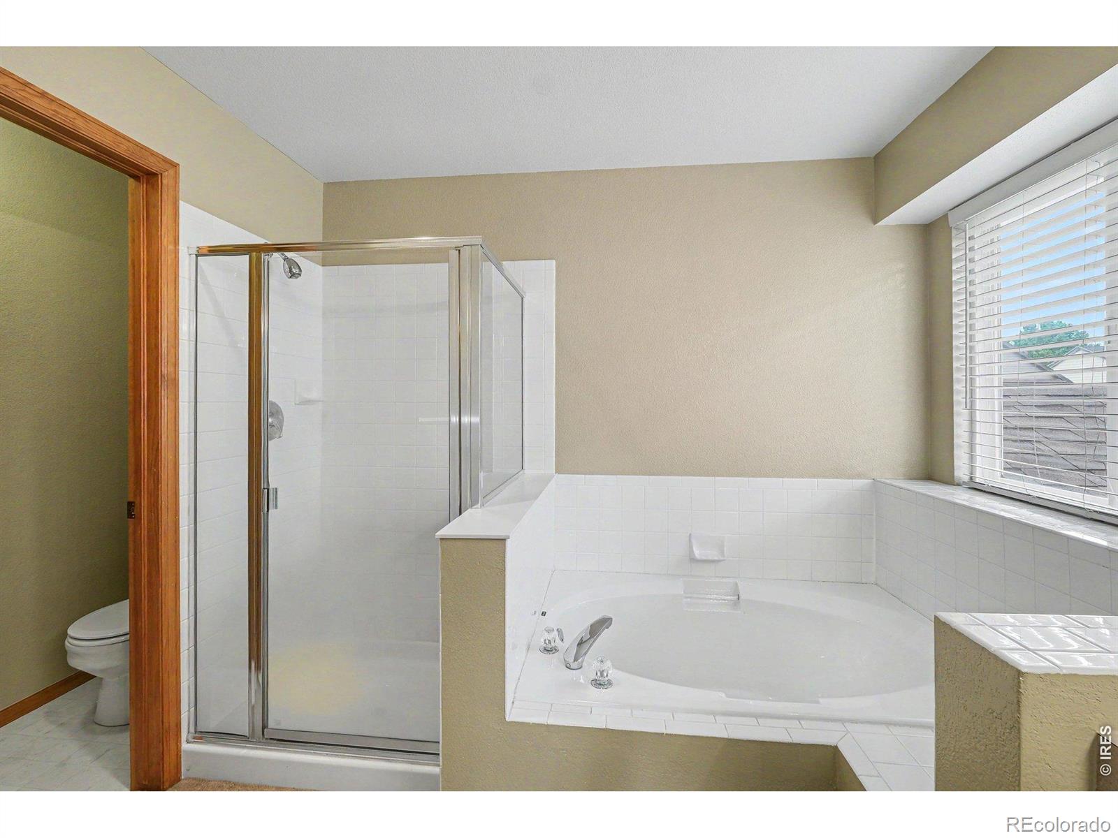 123 Rock Bridge Court Windsor CO 80550