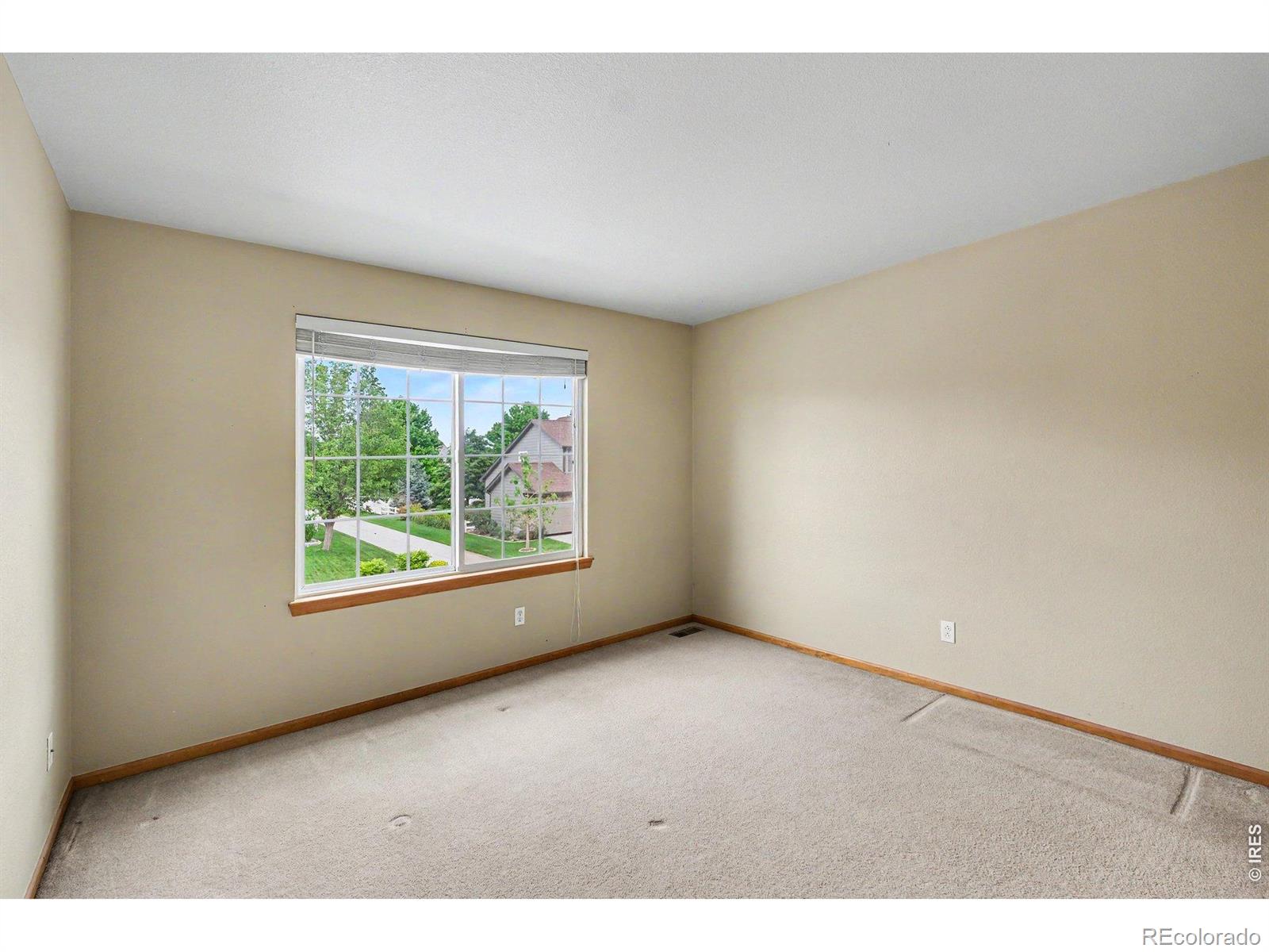 123 Rock Bridge Court Windsor CO 80550