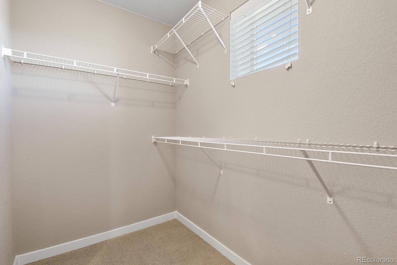 6843 Lily Mountain Lane Colorado Springs CO 80923