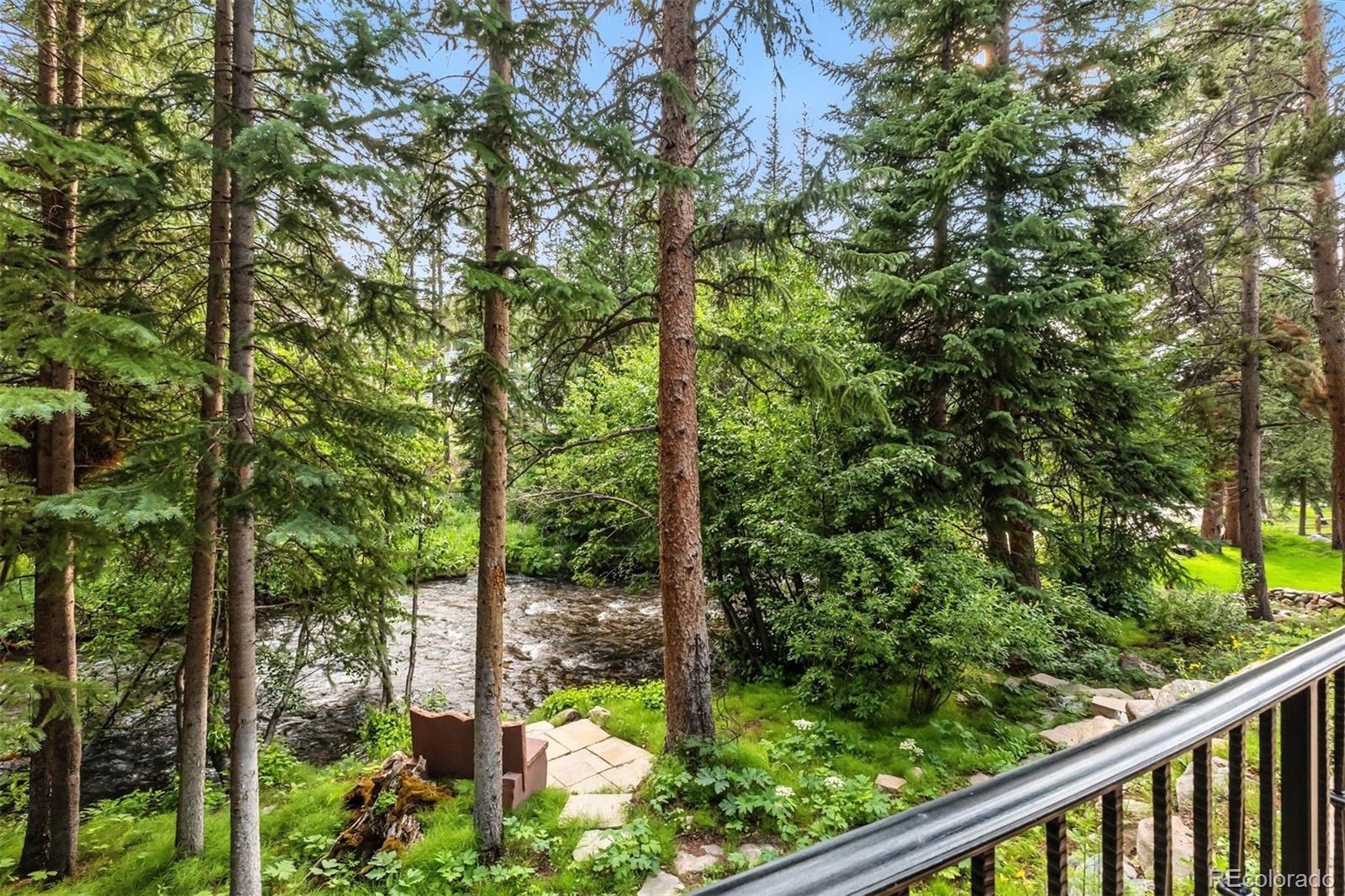 165 River Park Drive Breckenridge CO 80424