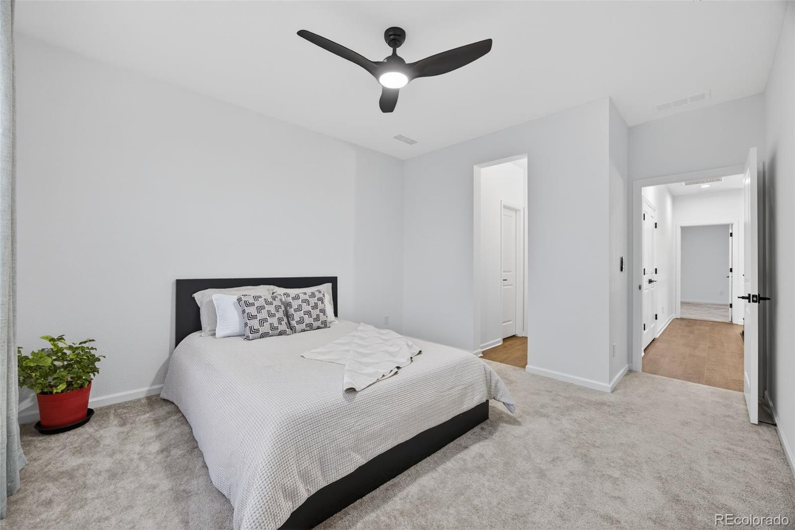 6185 Pedregal Drive Parker CO 80134