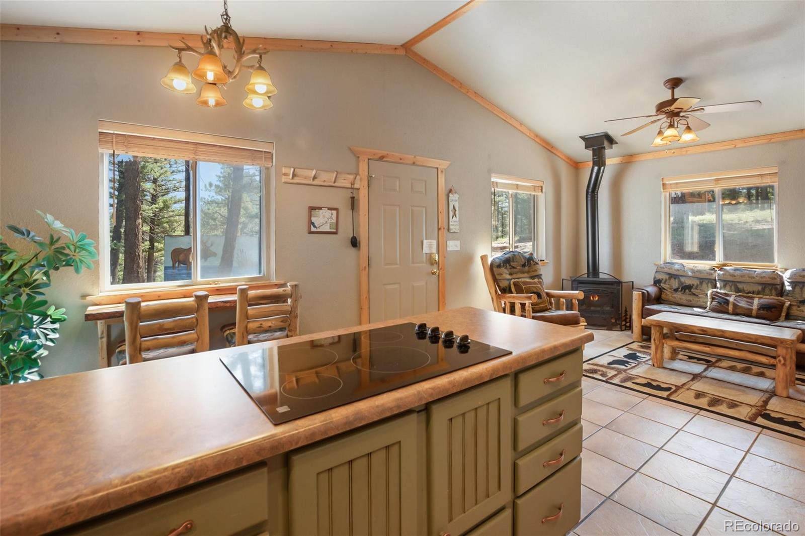 31 Handcart Circle Florissant CO 80816