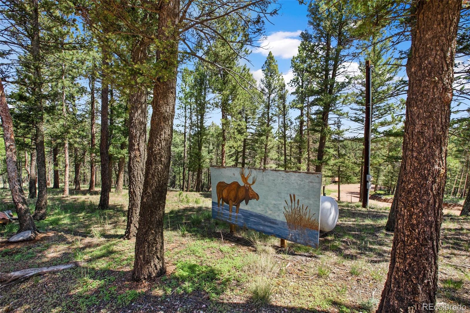 31 Handcart Circle Florissant CO 80816
