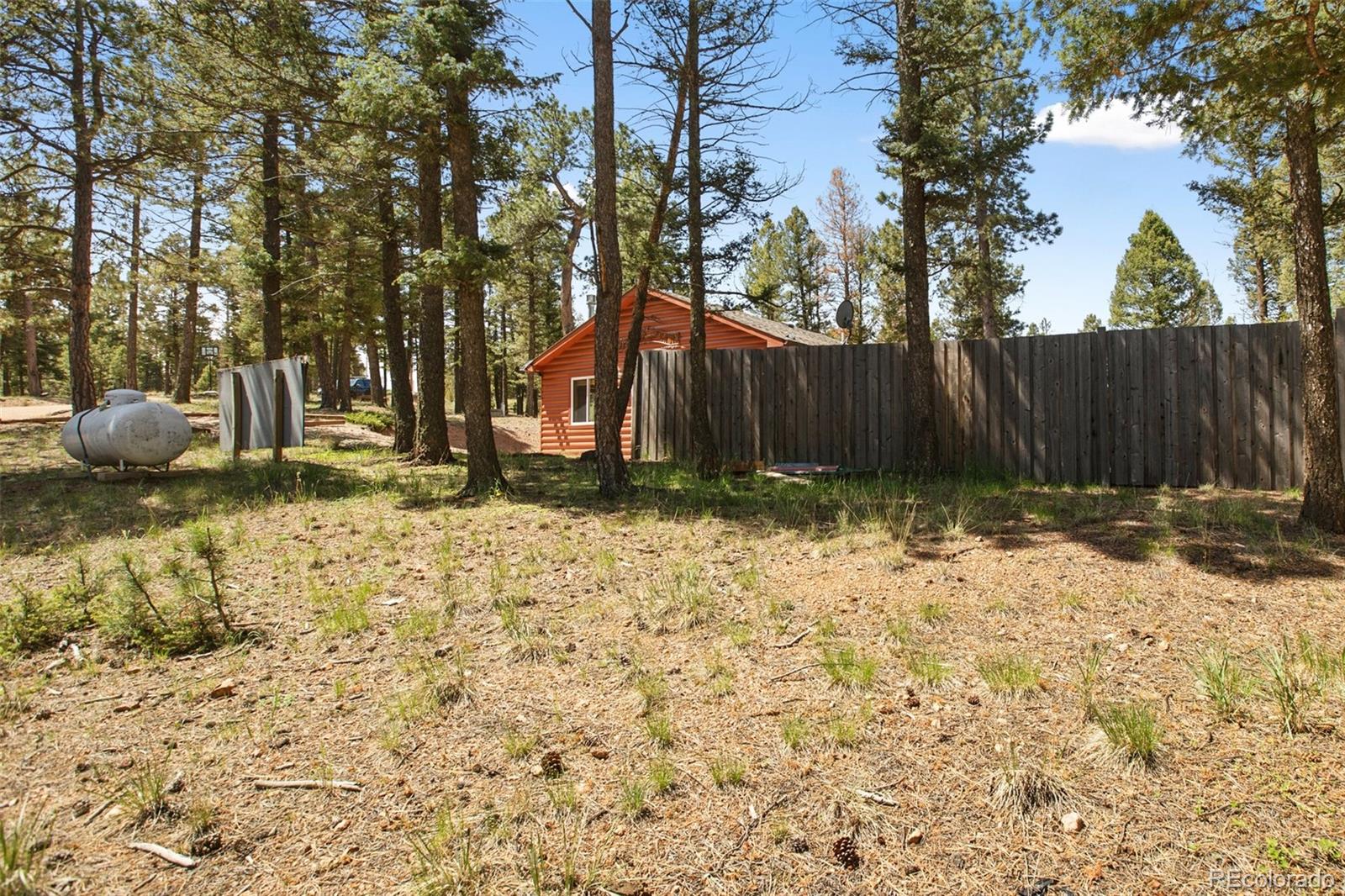 31 Handcart Circle Florissant CO 80816