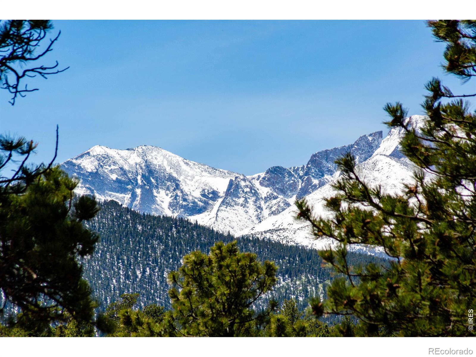 260 Big Horn Drive Estes Park CO 80517