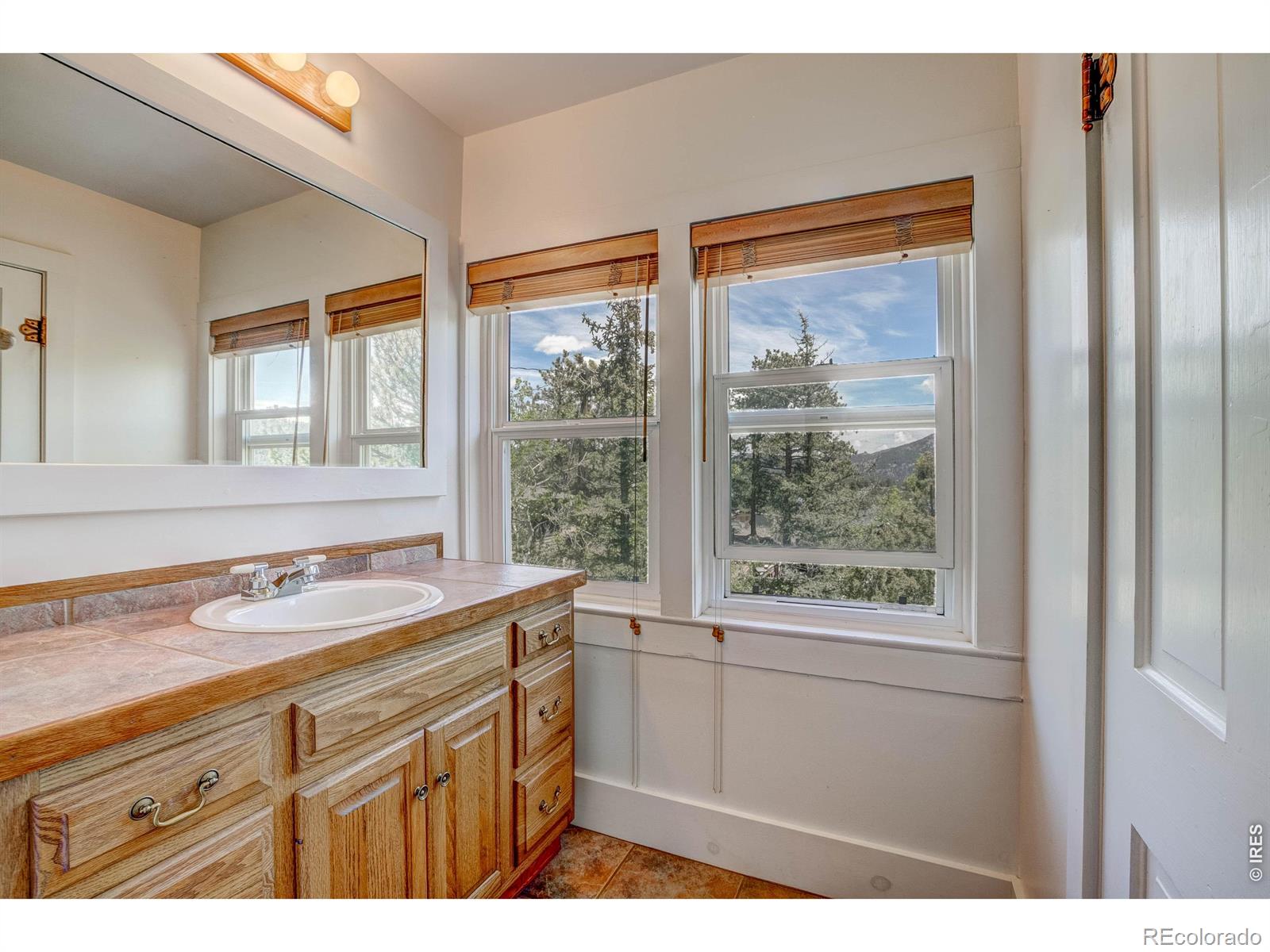 260 Big Horn Drive Estes Park CO 80517