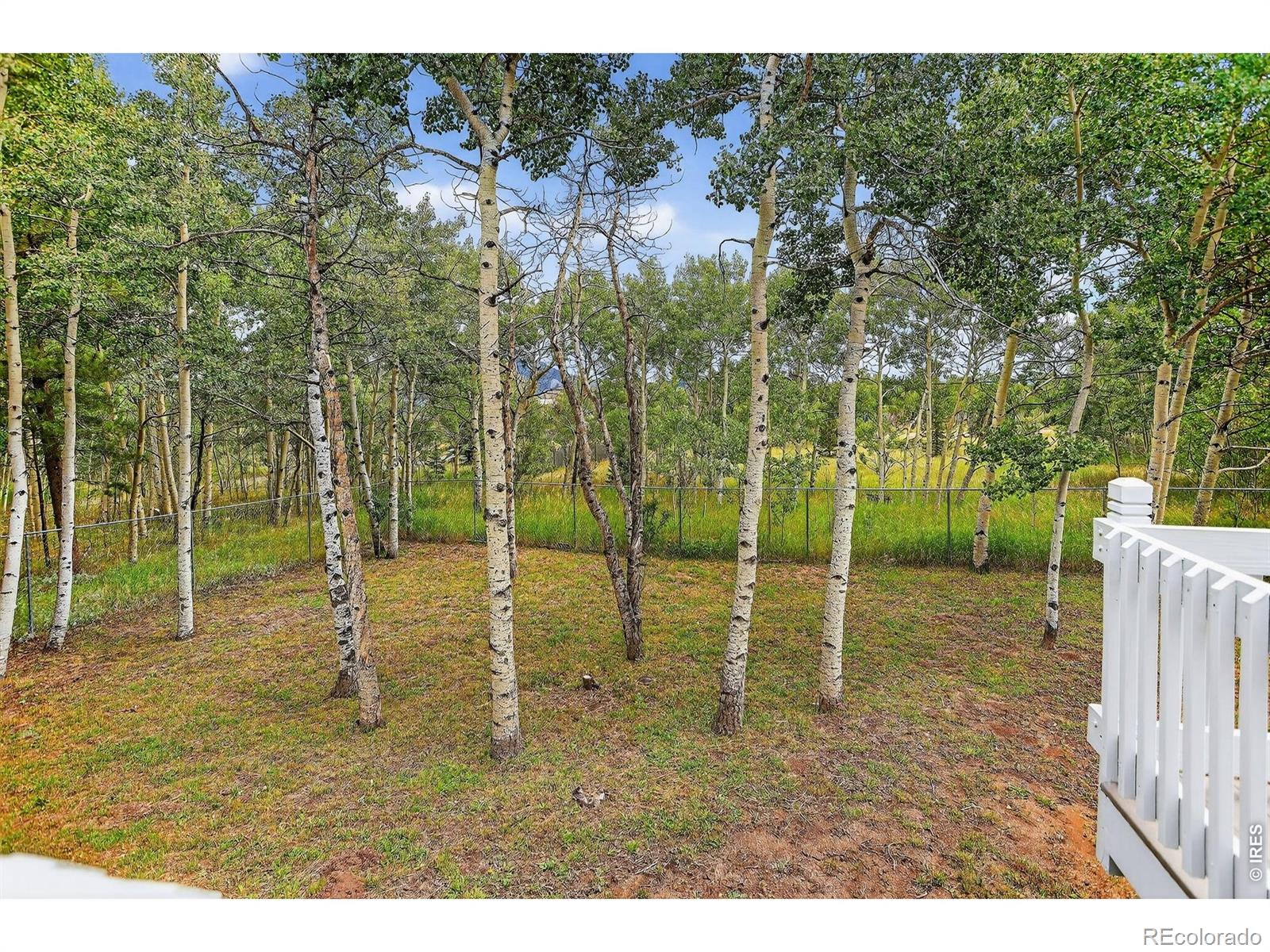 233 Deer Circle Black Hawk CO 80422