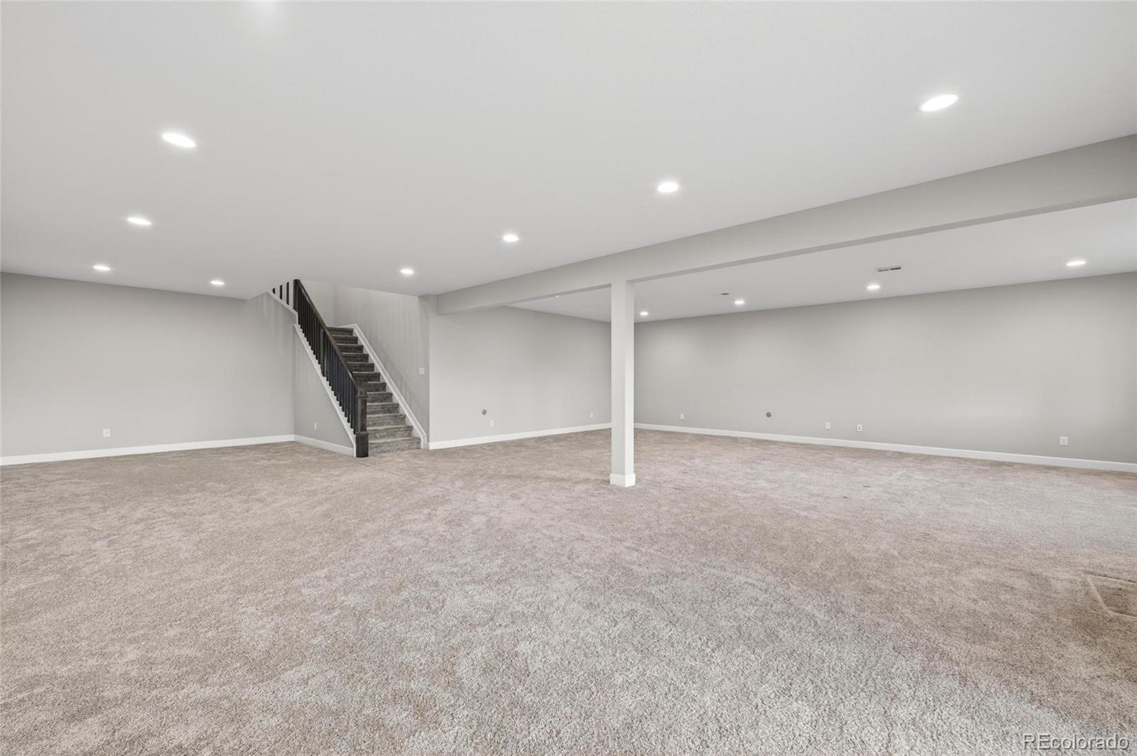 6650 Mentha Drive Castle Rock CO 80108