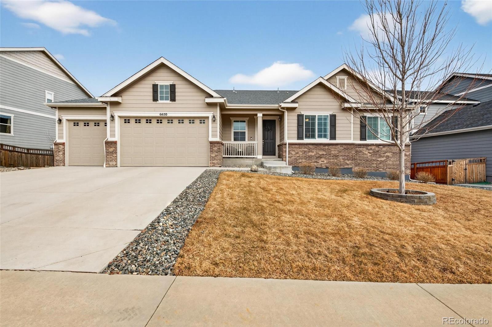 6650 Mentha Drive Castle Rock CO 80108