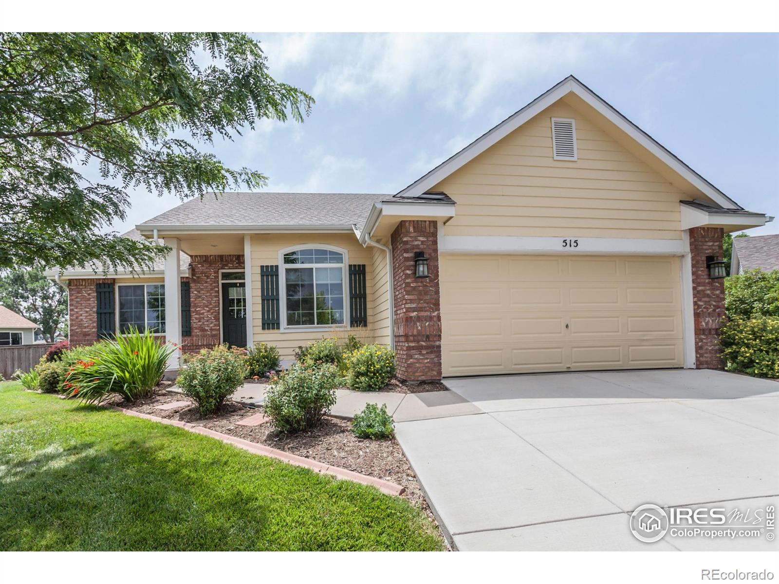 515 Limber Pine Court Severance CO 80550