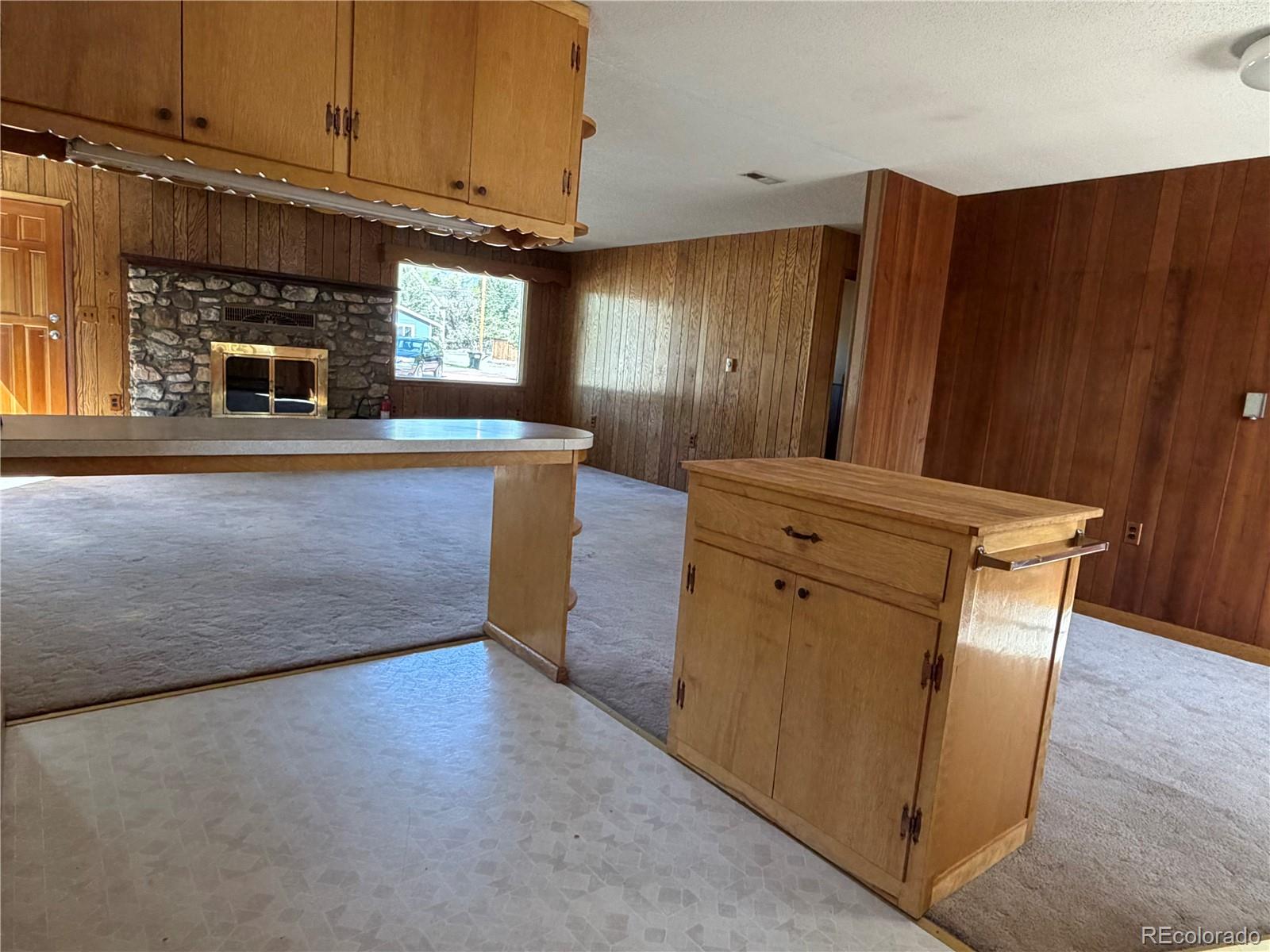 115 Hill Street Buena Vista CO 81211
