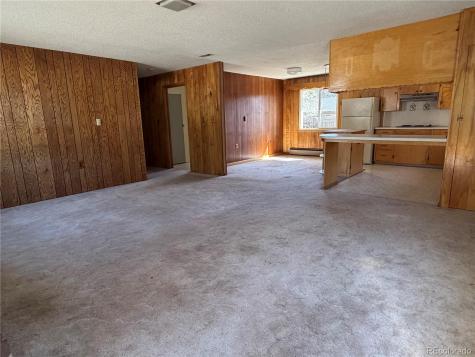 115 Hill Street Buena Vista CO 81211
