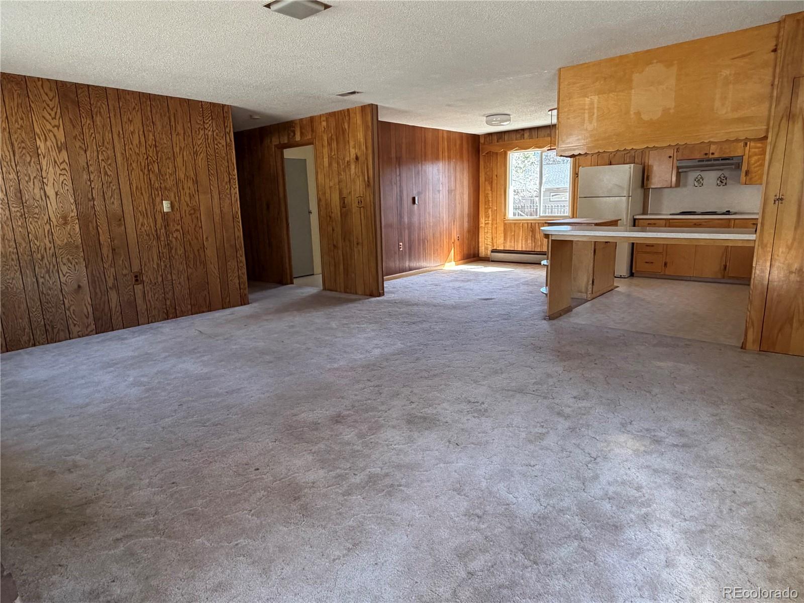 115 Hill Street Buena Vista CO 81211