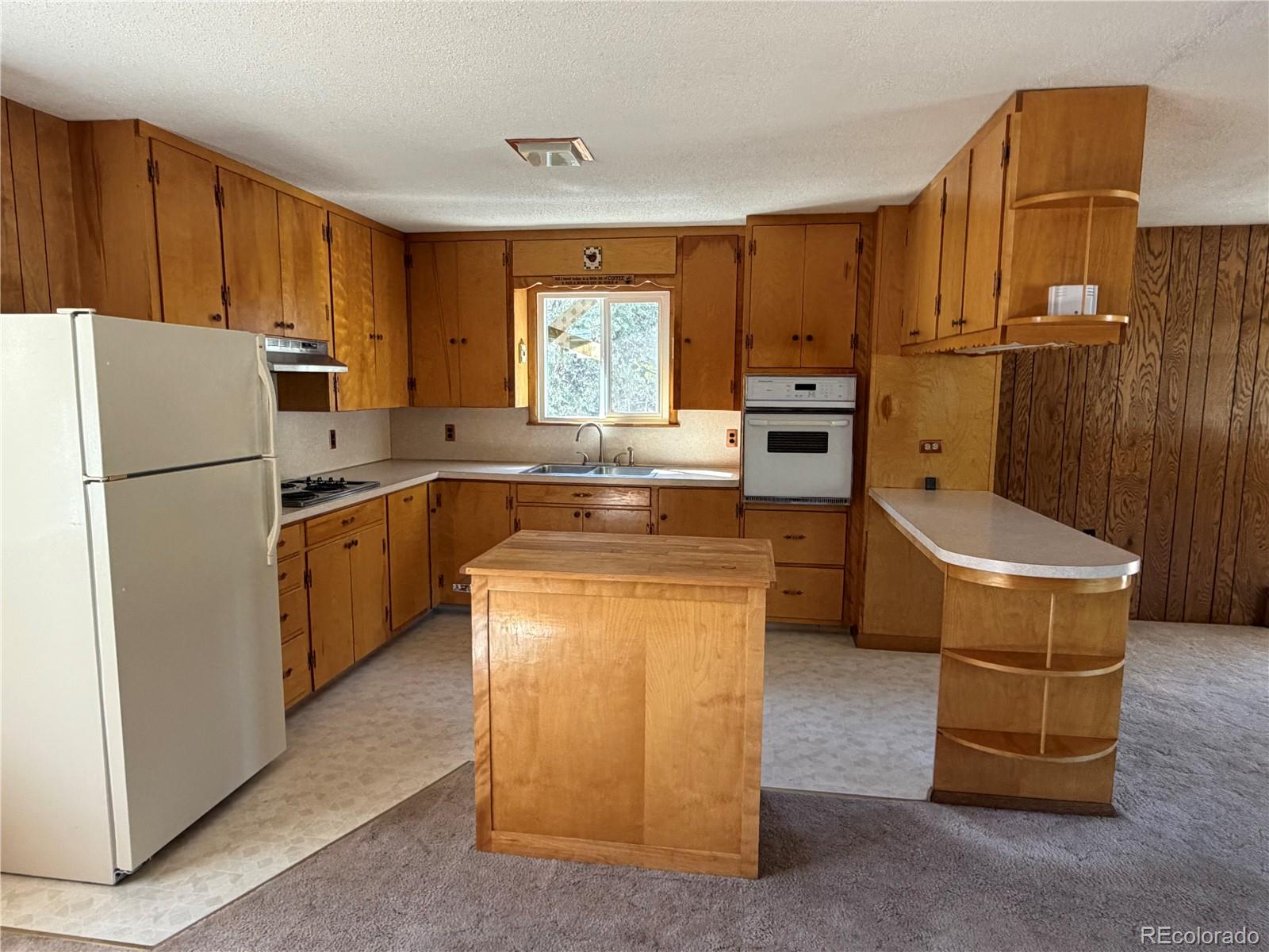 115 Hill Street Buena Vista CO 81211