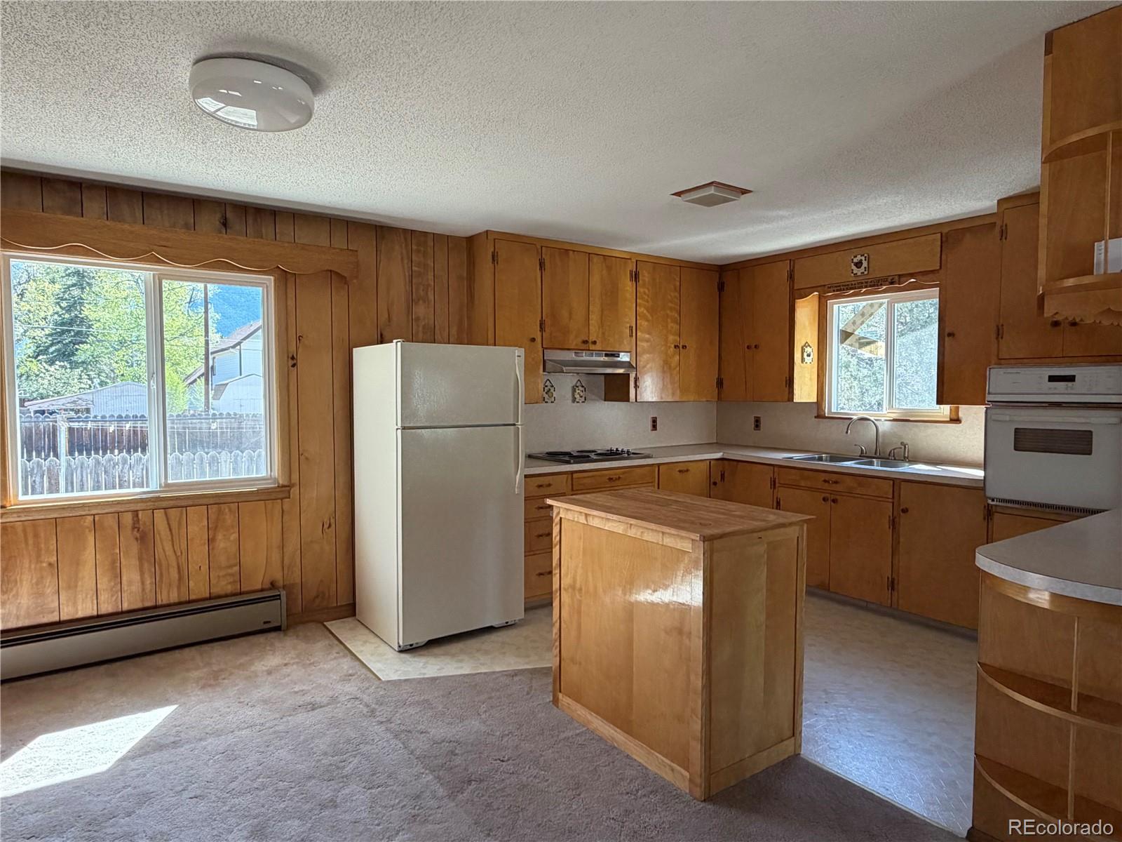 115 Hill Street Buena Vista CO 81211