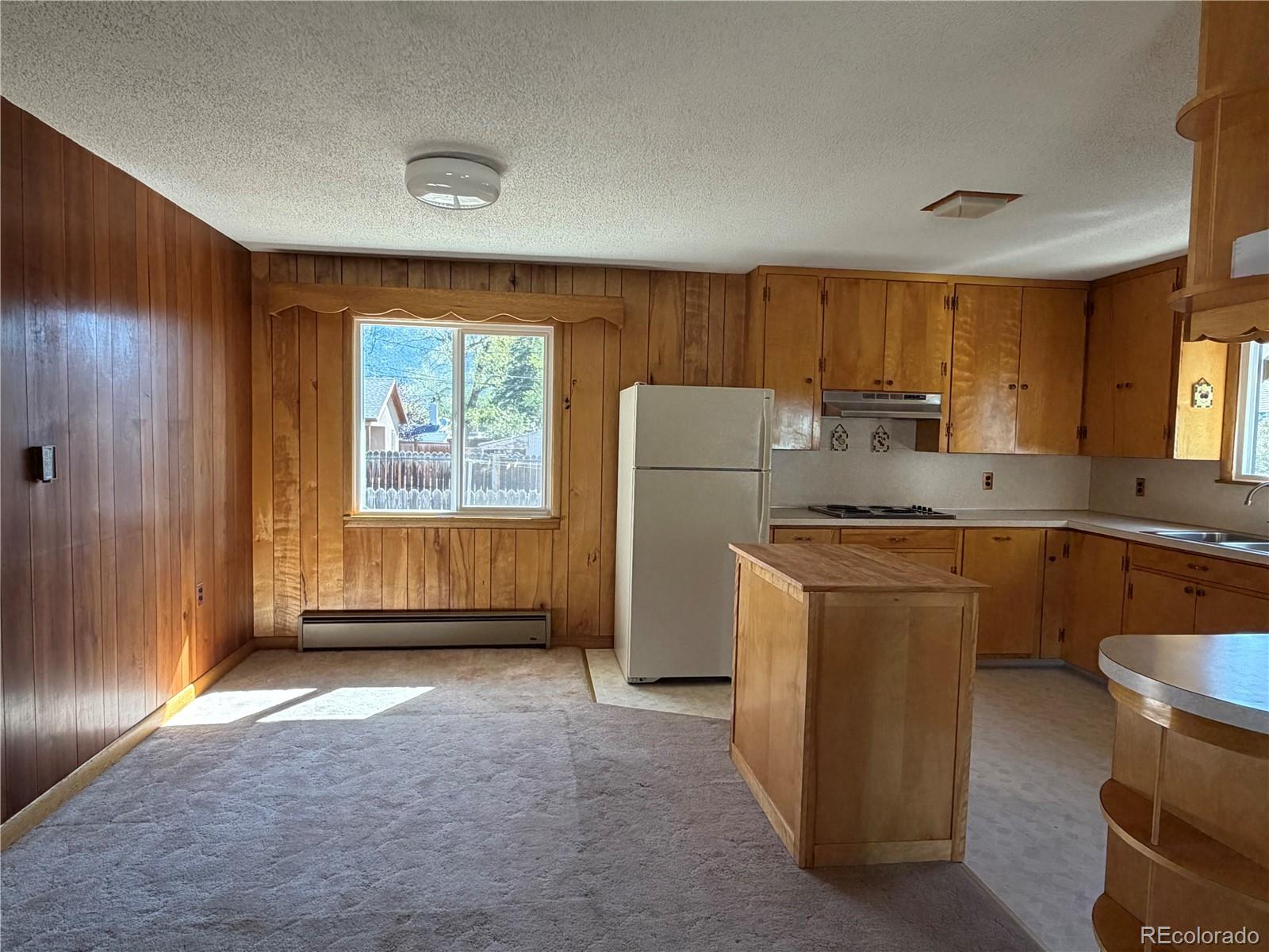 115 Hill Street Buena Vista CO 81211