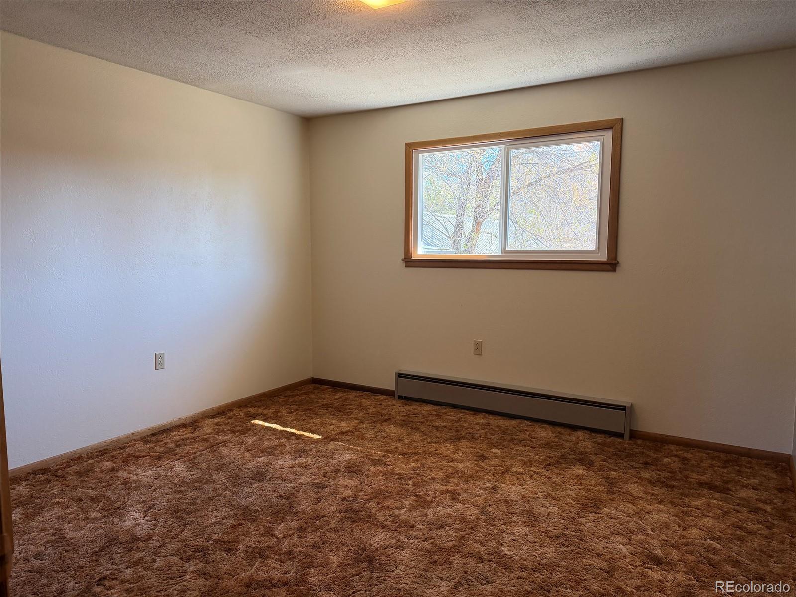 115 Hill Street Buena Vista CO 81211
