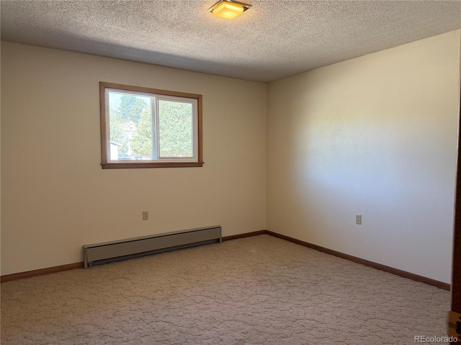 115 Hill Street Buena Vista CO 81211