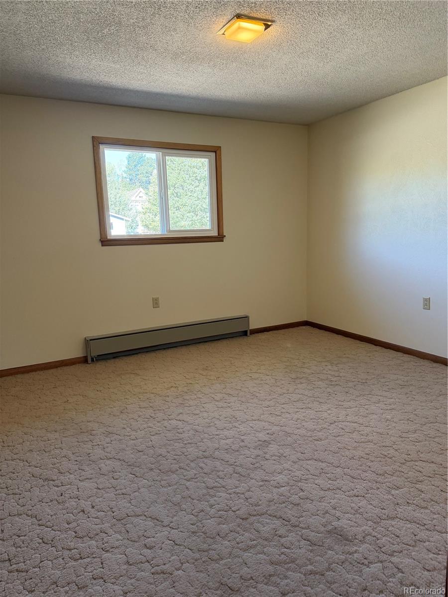 115 Hill Street Buena Vista CO 81211