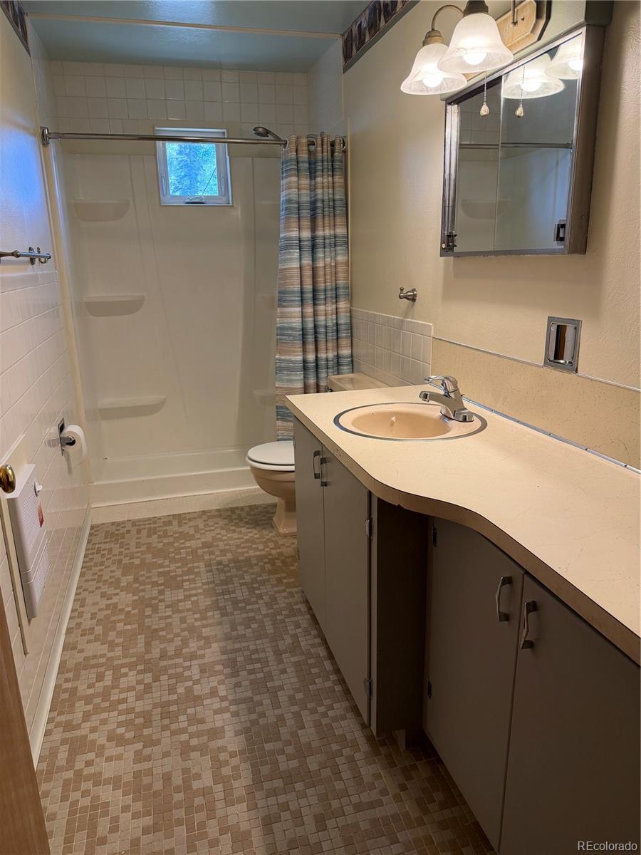 115 Hill Street Buena Vista CO 81211