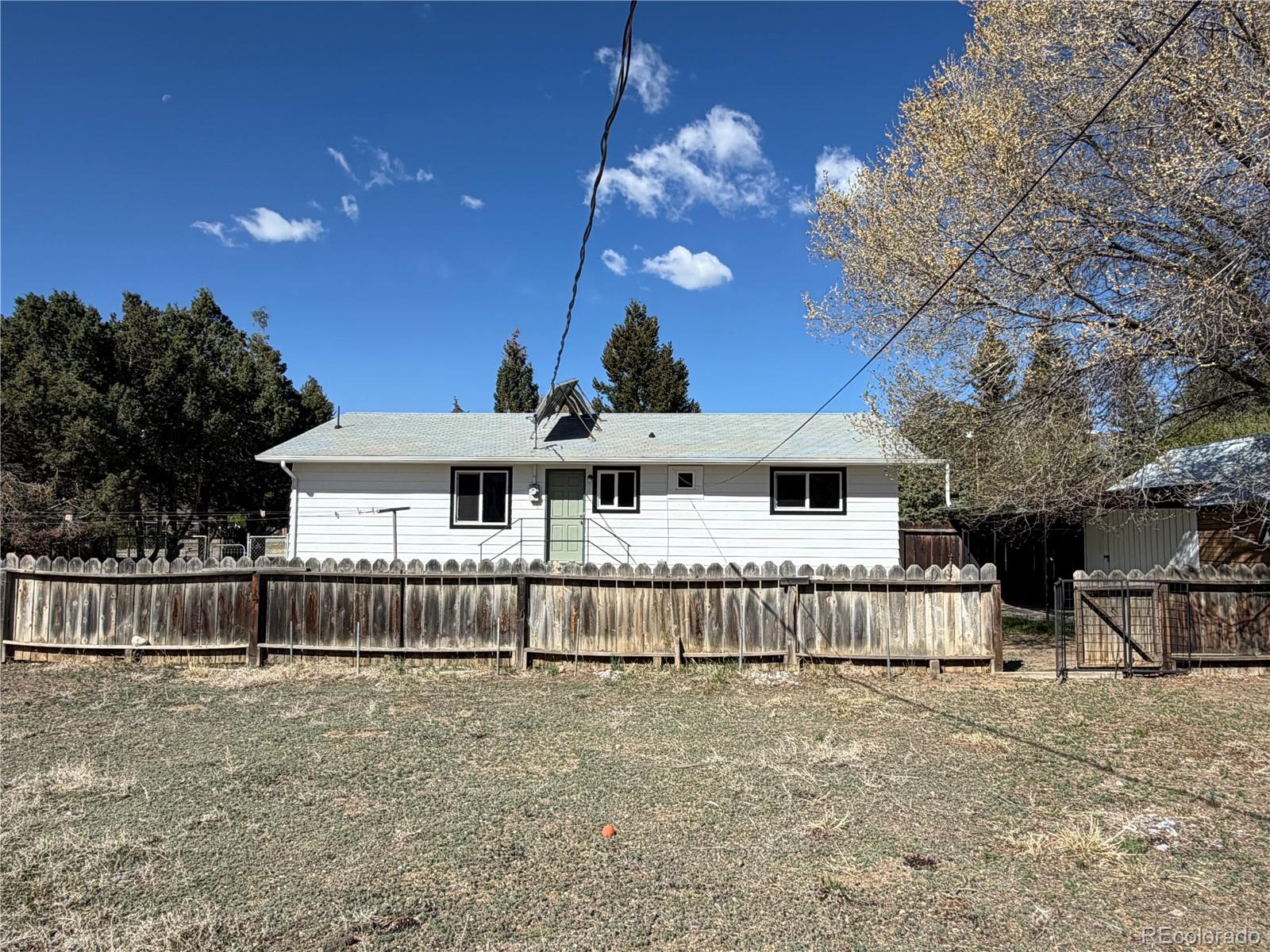 115 Hill Street Buena Vista CO 81211