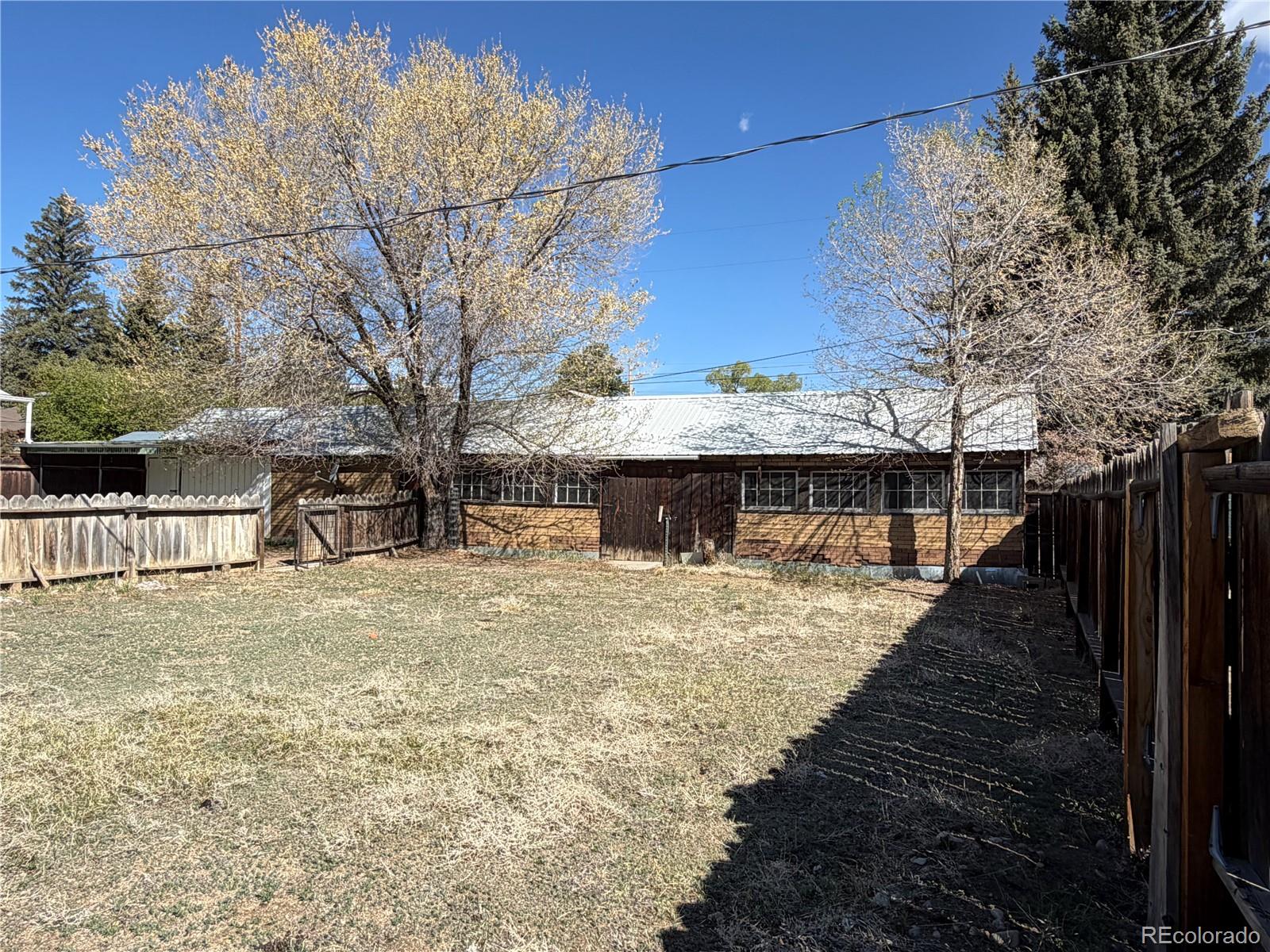 115 Hill Street Buena Vista CO 81211