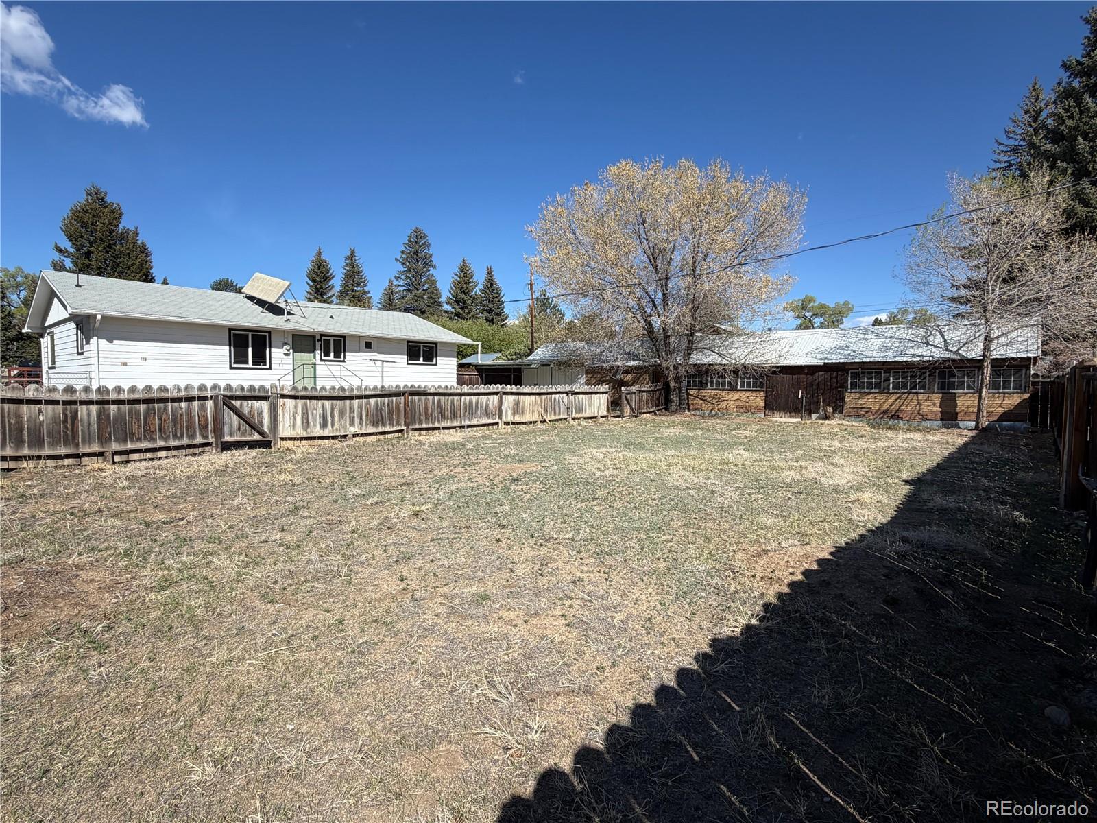 115 Hill Street Buena Vista CO 81211