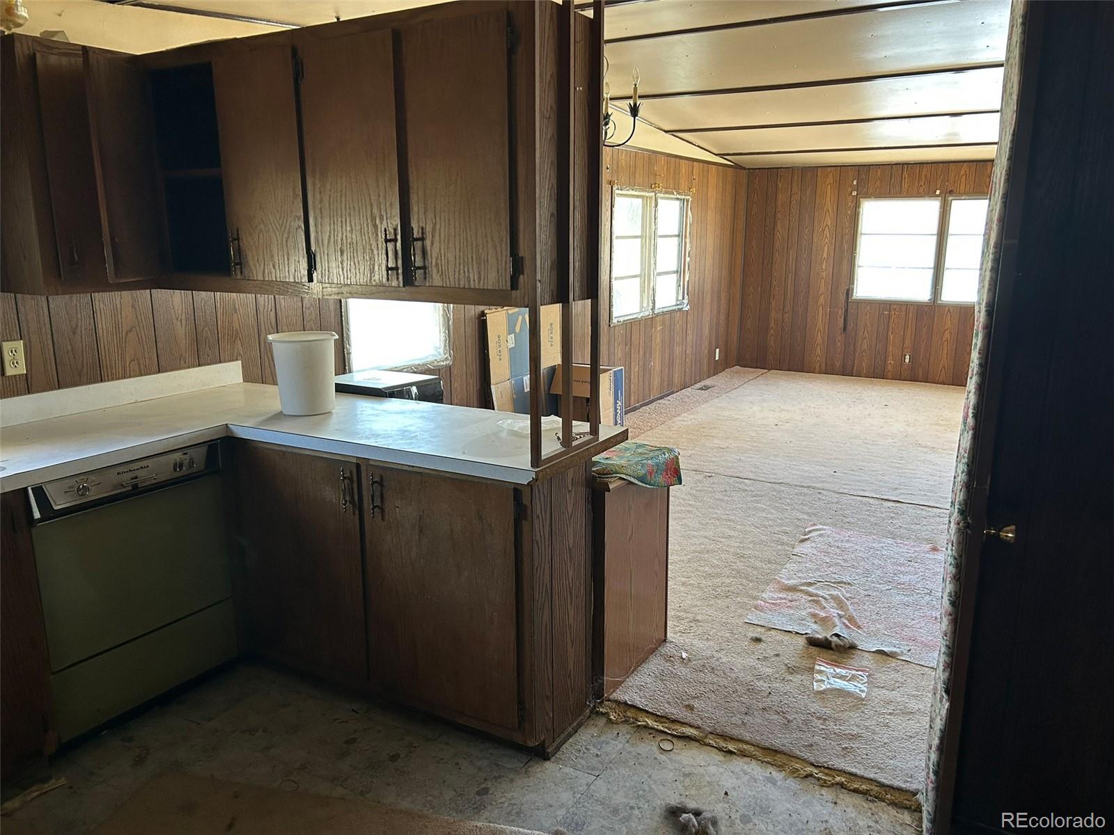 1115 Denver Avenue Saguache CO 81149