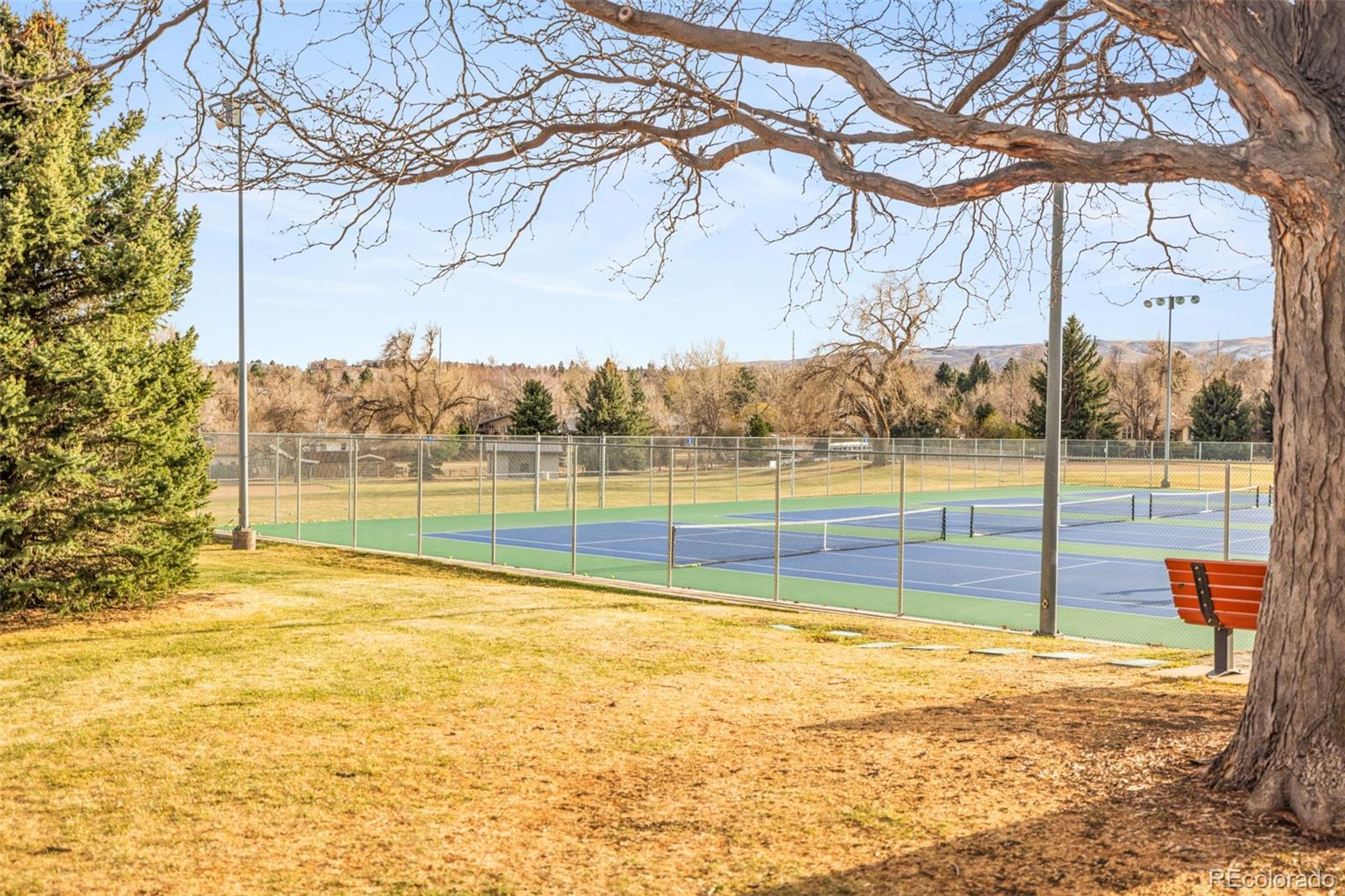 11650 W 20th Avenue Lakewood CO 80215