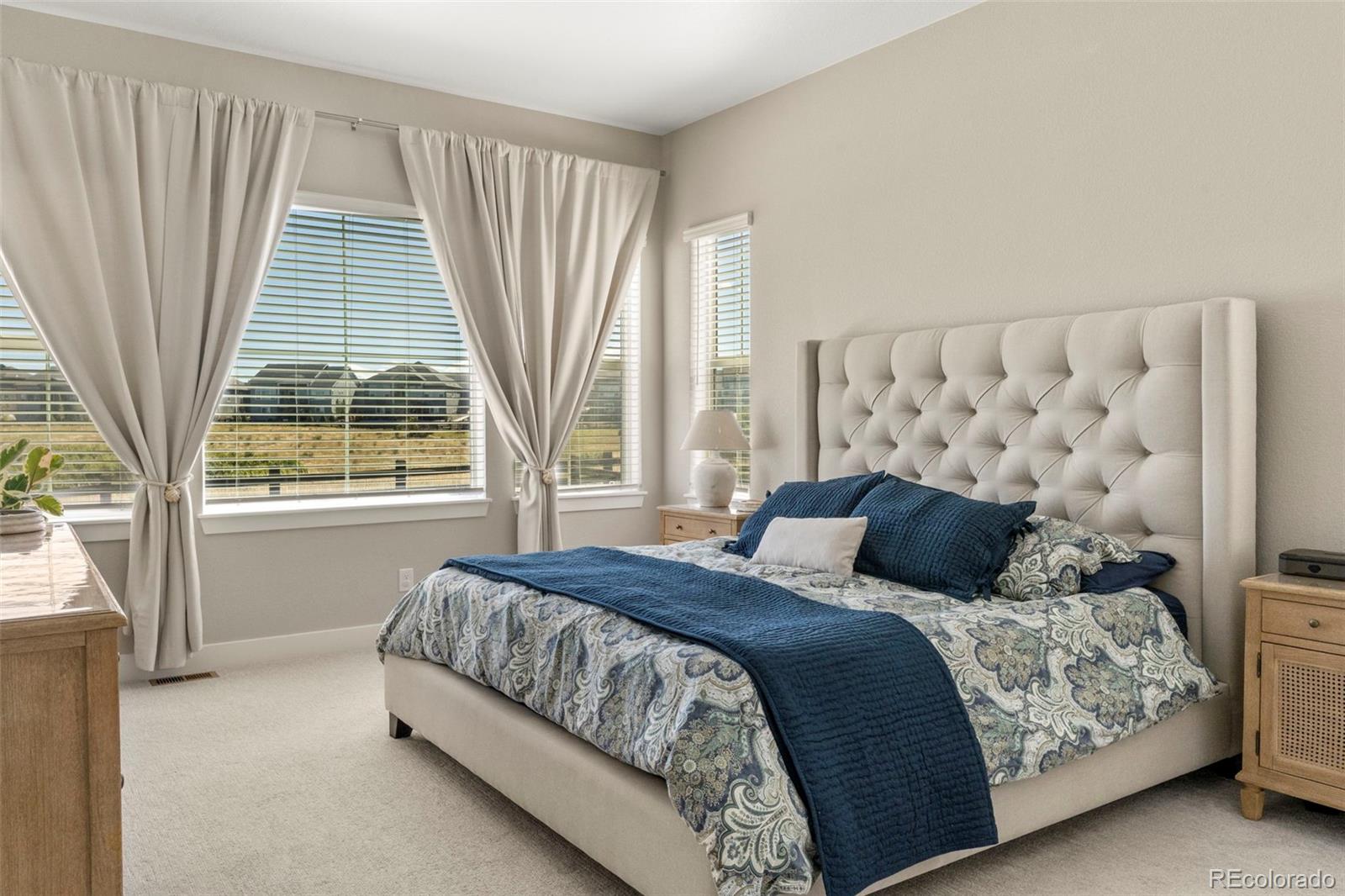 3115 Carabiner Street Castle Rock CO 80108