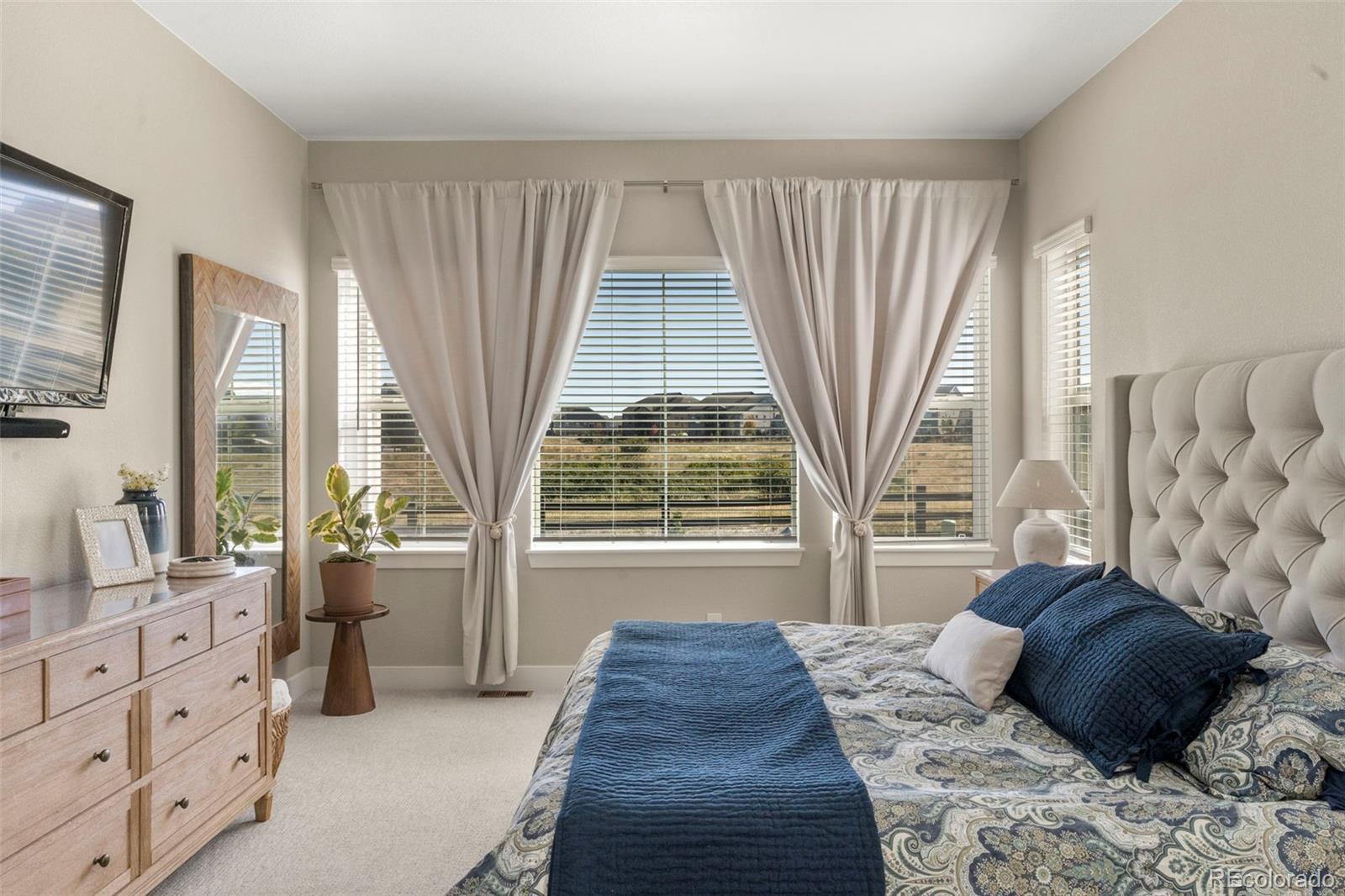 3115 Carabiner Street Castle Rock CO 80108