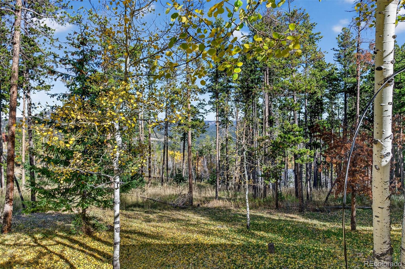 20341 Maxwell Drive Morrison CO 80465