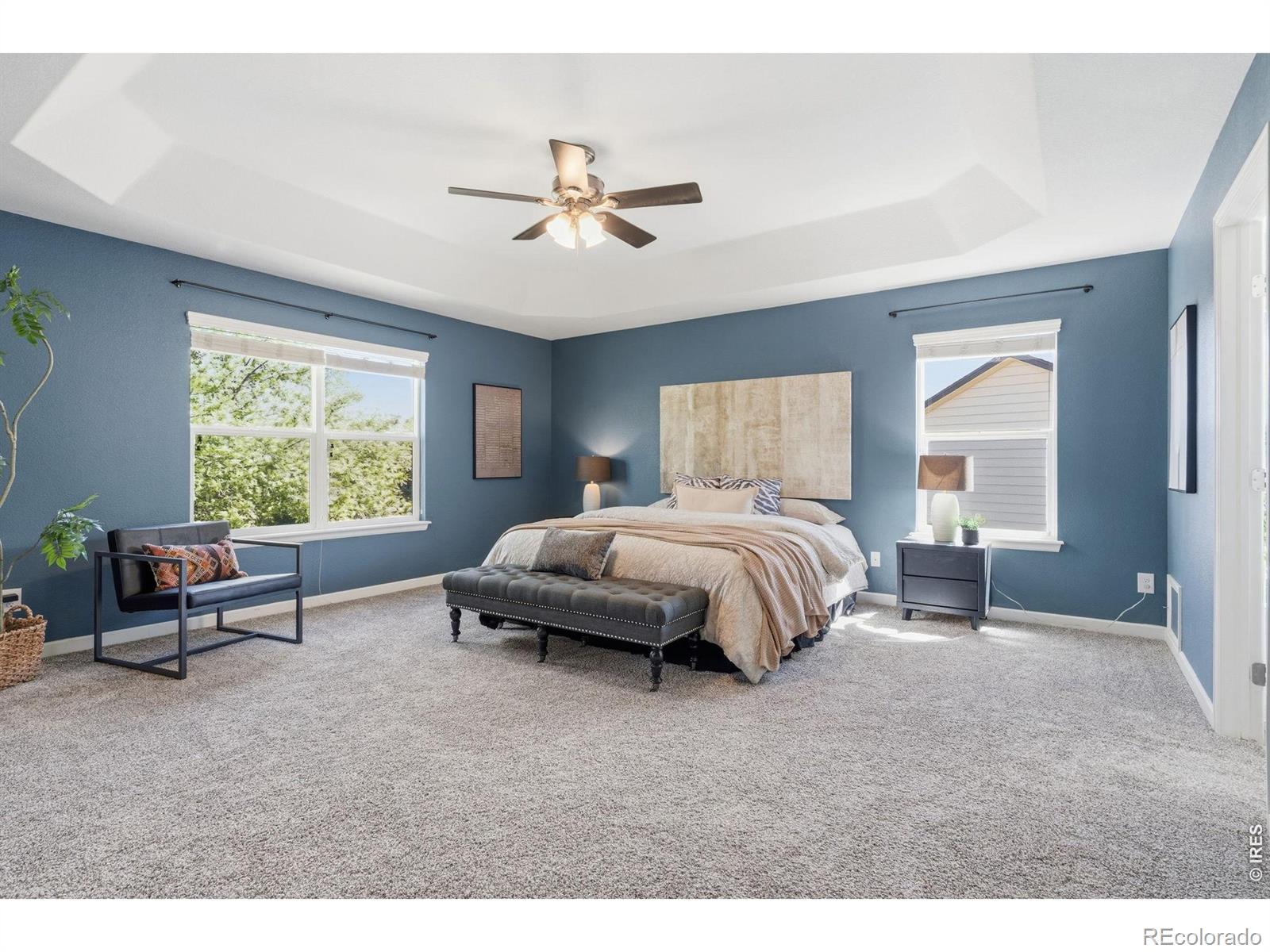 543 Botley Court Windsor CO 80550