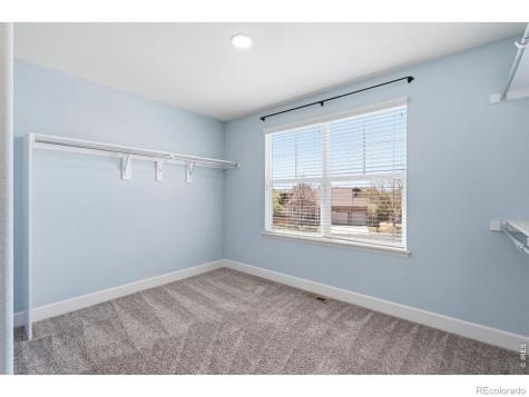543 Botley Court Windsor CO 80550