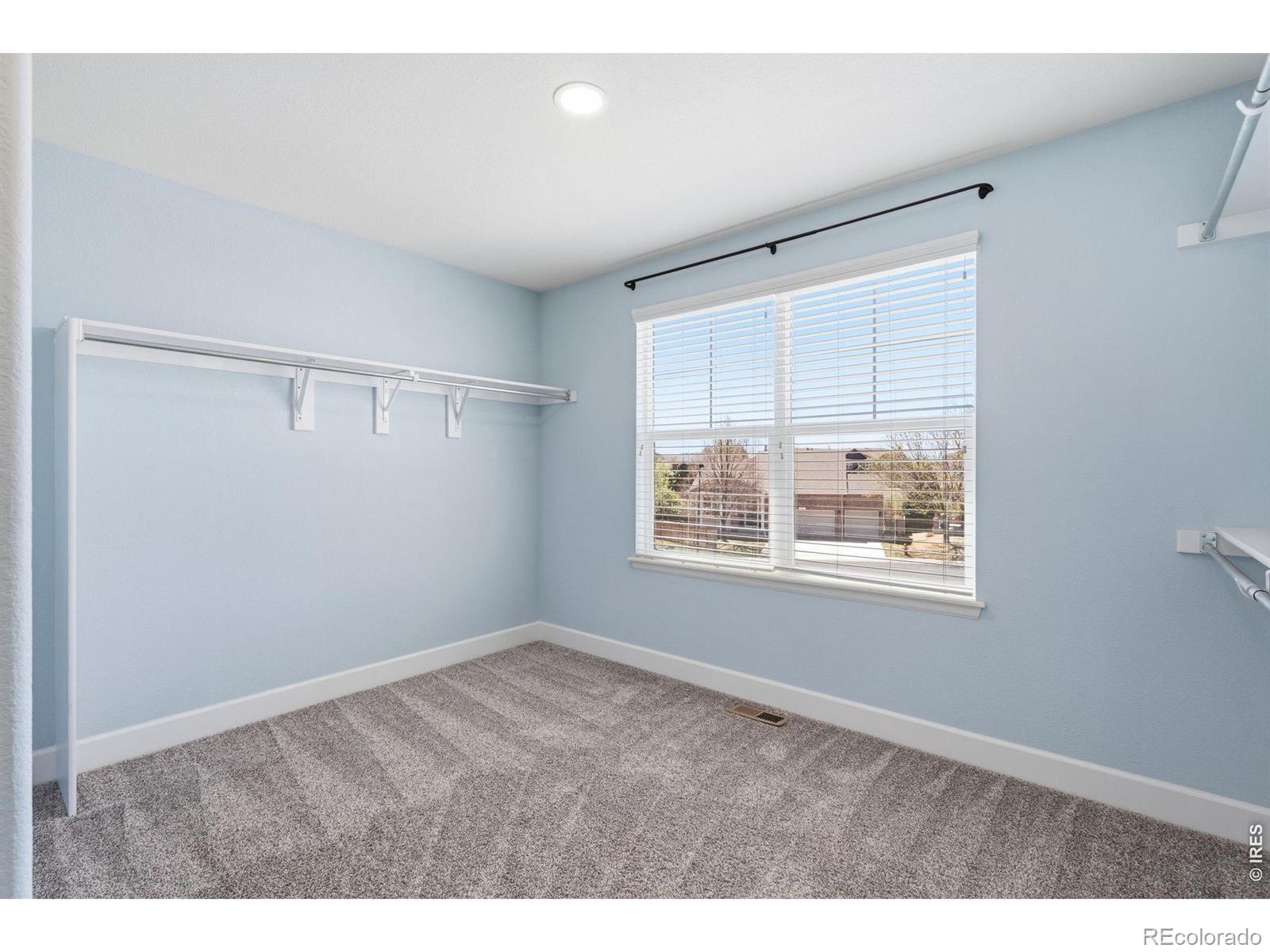 543 Botley Court Windsor CO 80550
