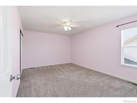 543 Botley Court Windsor CO 80550