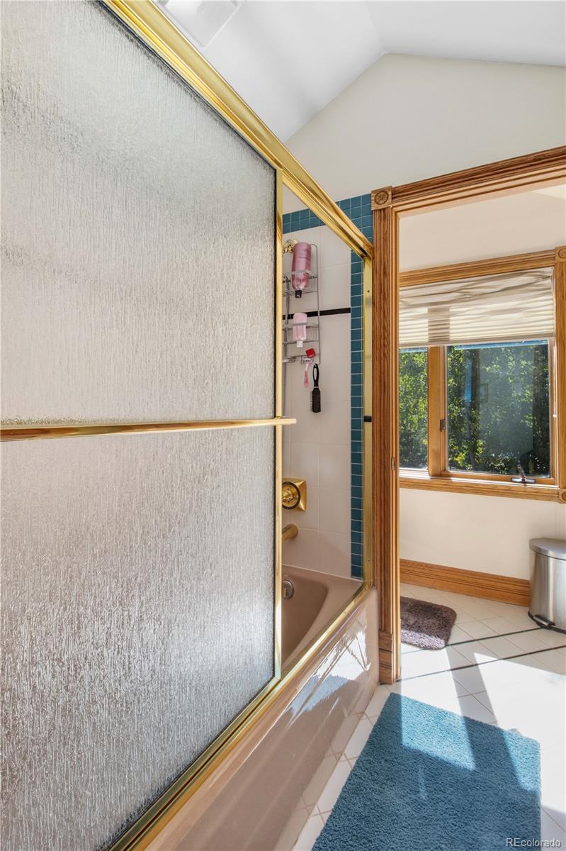 9 Creekside Court Glenwood Springs CO 81601