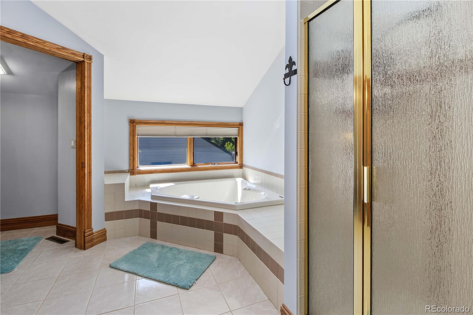 9 Creekside Court Glenwood Springs CO 81601