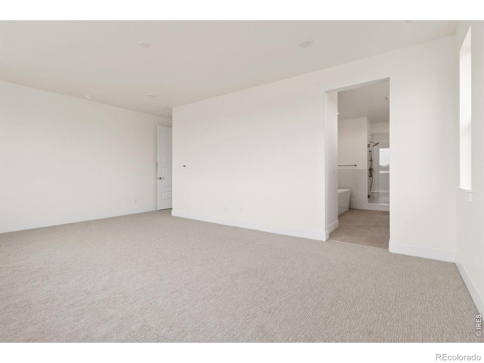 1290 Weller Street Timnath CO 80547