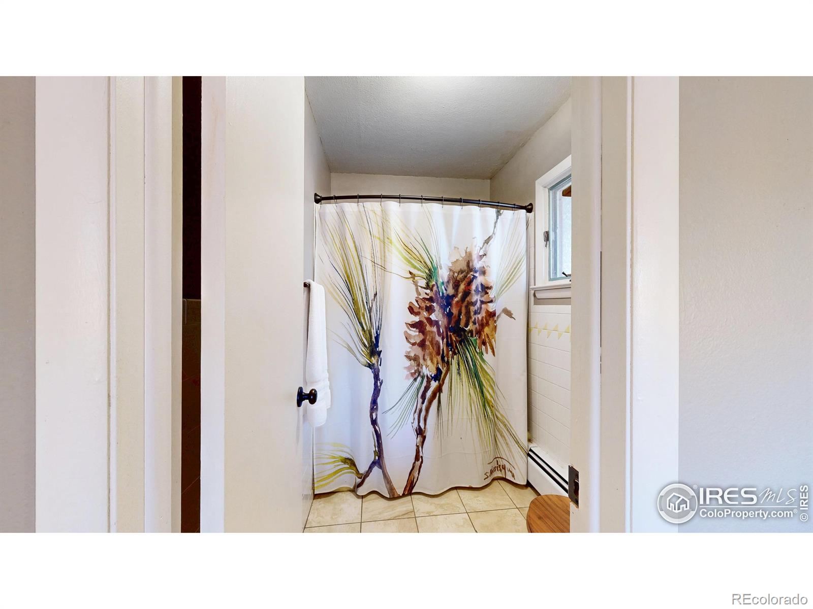 141 Courtney Lane Estes Park CO 80517