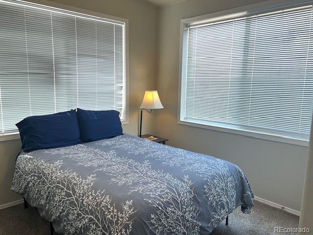 1923 Lone Pine Way Crestone CO 81131