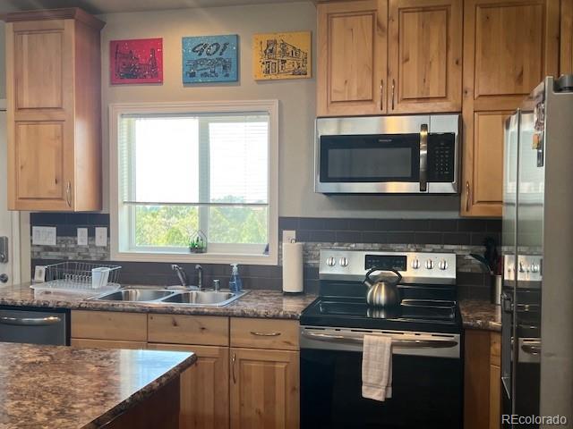 1923 Lone Pine Way Crestone CO 81131