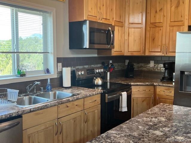 1923 Lone Pine Way Crestone CO 81131