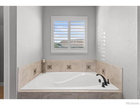 5840 Bromborough Drive Windsor CO 80550