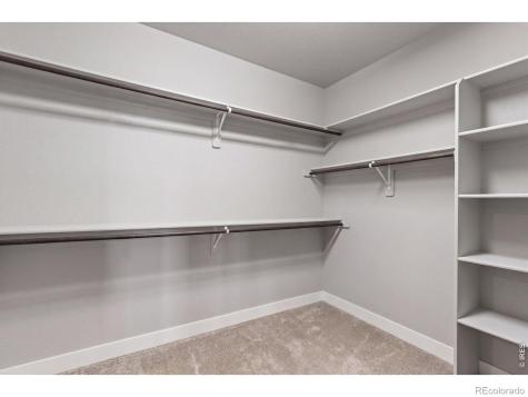 5840 Bromborough Drive Windsor CO 80550
