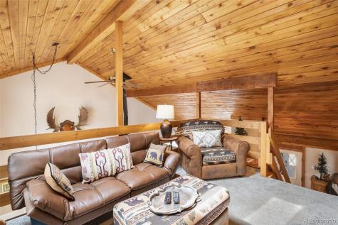 34 Nebraska Circle Florissant CO 80816