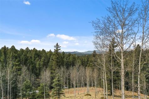 34 Nebraska Circle Florissant CO 80816