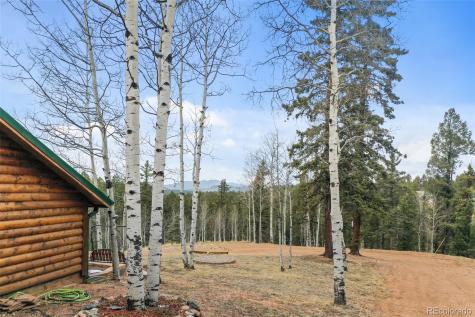 34 Nebraska Circle Florissant CO 80816